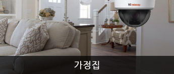 가정